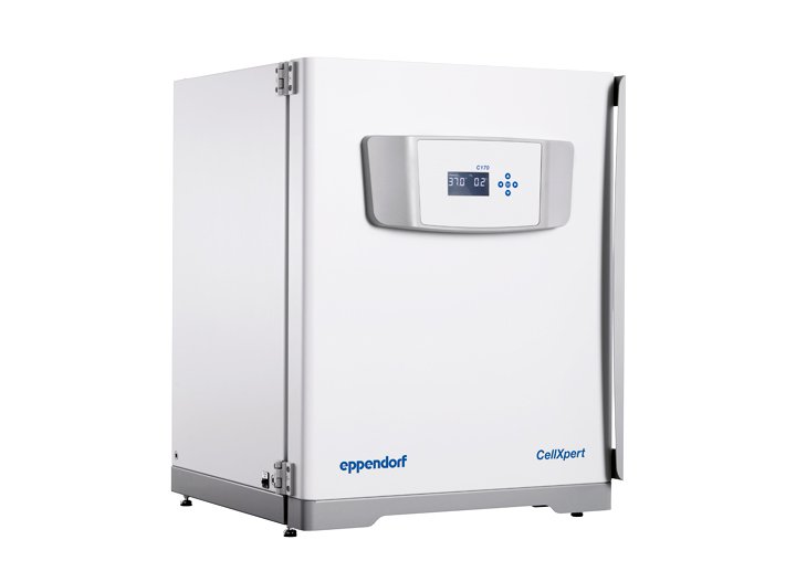 CellXpert® C170 and C170i CO² incubator with minimal footprint at maximum capacity, high holding capacity and intuitive touchscreen user interface.